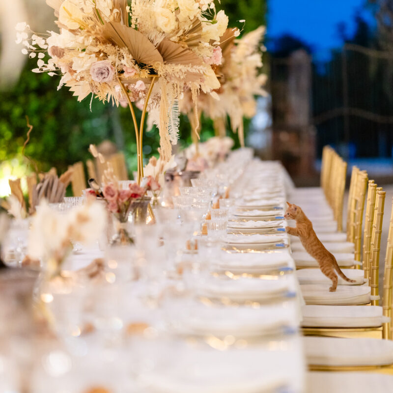 allestimento villa nicolai