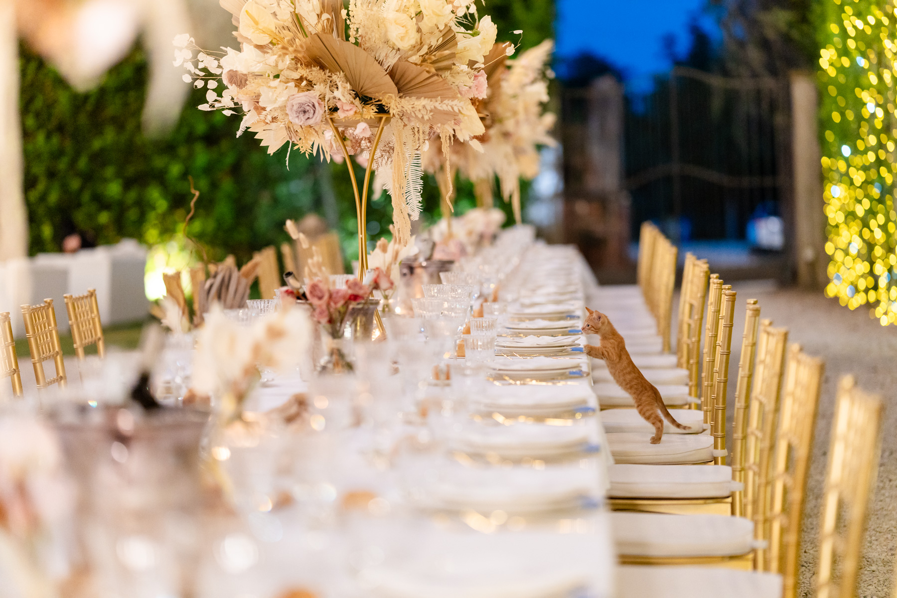 allestimento villa nicolai